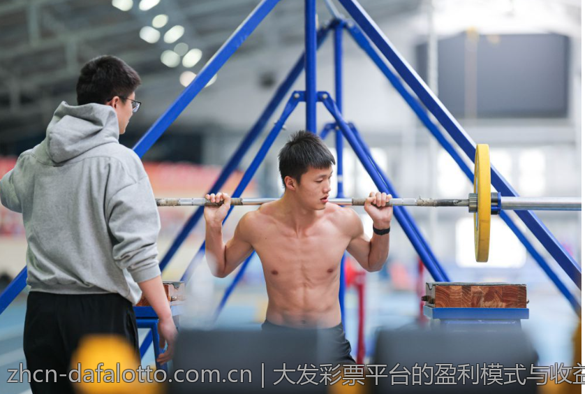 大发彩票平台的盈利模式与收益分享