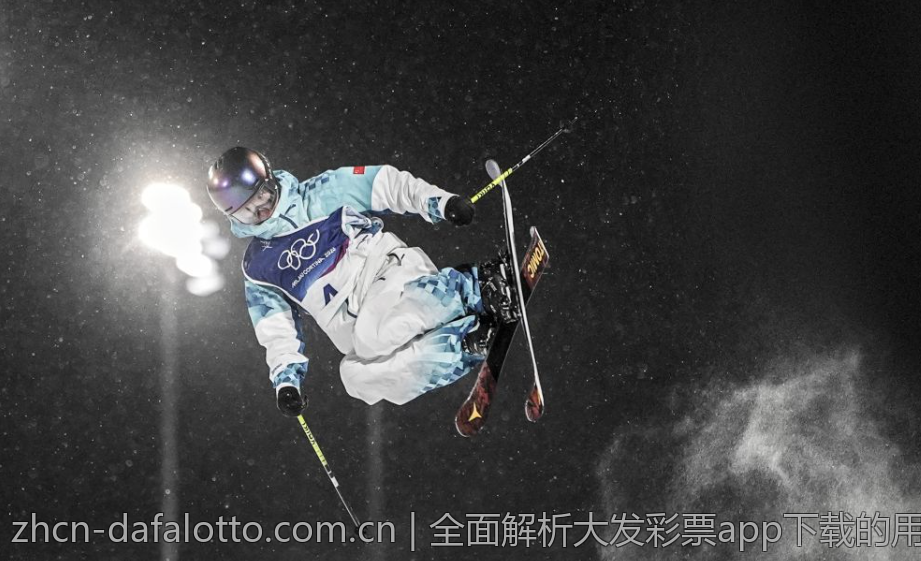 全面解析大发彩票app下载的用户体验